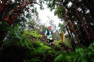 BIB: 
                            <button type="button" onclick="openModal(26204106)" class="btn btn-primary btn-sm float-right btn-popup" data-toggle="modal" data-target=".modal-high-quality">
                        <i class="fas fa-shopping-cart"></i> Add to Cart
                    </button>
                                            <button type="button" onclick="isThisMe(26204106, true)" class="btn btn-success btn-sm float-right btn-popup btn-isme hidden" data-toggle="tooltip" data-placement="bottom" title="นี่คือรูปของคุณใช่ไหม คลิกที่นี่เพื่อเอาเข้าอัลบั้ม">
                        <i class="fas fa-plus"></i> Add to album
                    </button>
                    <button type="button" onclick="isThisMe(26204106, false)" class="btn btn-warning btn-sm float-right btn-popup btn-isnotme hidden">
                        <i class="fas fa-ban"></i> Remove from album
                    </button>